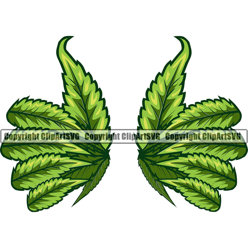 Marijuana Leaf Green Color Wings Vector Design Element Legalize Pot Organic White Background Leaf Medical Medicine Health Herb Plant Cannabis Hemp Drug Grass Weed THC Legal Art Logo Clipart SVG