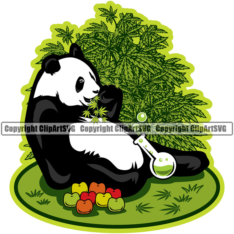 Marijuana Panda Sitting And Eating Weed Leaf Legalize Pot Green Color Design Element Organic Leaf Medical Medicine Health Herb Plant Cannabis Hemp Drug Grass Weed THC Legal Art Logo Clipart SVG