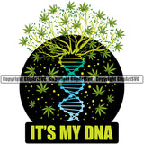 Its My DNA Quote Marijuana Legalize Pot Organic Leaf Black Color Circle Design Element Medical Medicine Health Herb Plant Cannabis Hemp Drug Grass Weed THC Legal Art Logo Clipart SVG