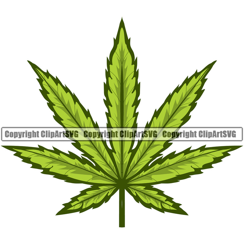 Marijuana Leaf Silhouette Vector Green Color Design Element Legalize Pot Organic White Background Leaf Medical Medicine Health Herb Plant Cannabis Hemp Drug Grass Weed THC Legal Art Logo Clipart SVG
