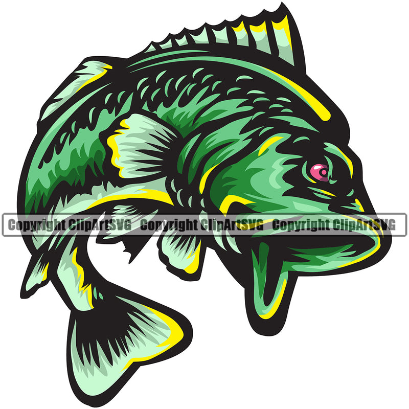 Bass Fishing Fish Fisherman Hunt Hunting Hunter Outdoor Sports Fishing Fish Color Design Element White Background Sport Hunting Lake Pond Sea River Ocean Design Logo Clipart SVG