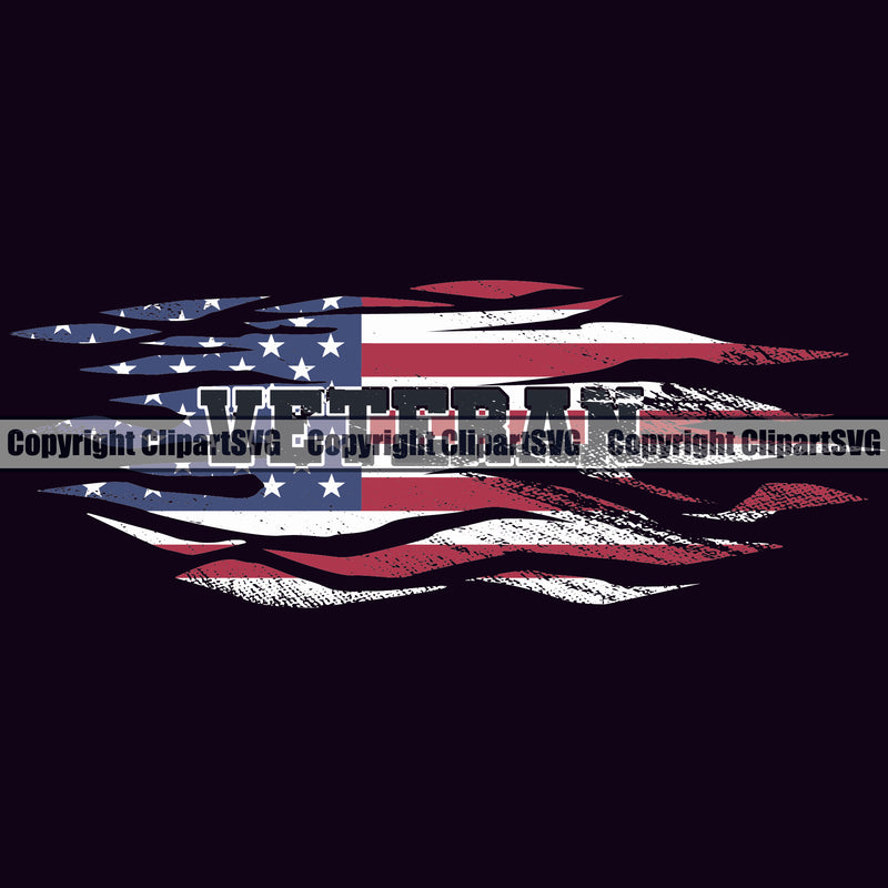 USA Flag Gun Weapon Rights United States America 2nd Amendment American Veteran Black Color Quote Text Design Element Black Background Military Army Art Design Logo Clipart SVG