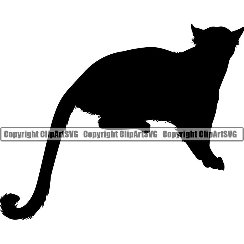 Leopard Leopards Wild Big Cat Wildlife Predator Beast Cheetah Jaguar Jungle Nature Zoo Sports School Team Mascot Game Fantasy eSport Animal Emblem Badge Logo Symbol Tattoo Black Silhouette Logo Symbol Clipart SVG