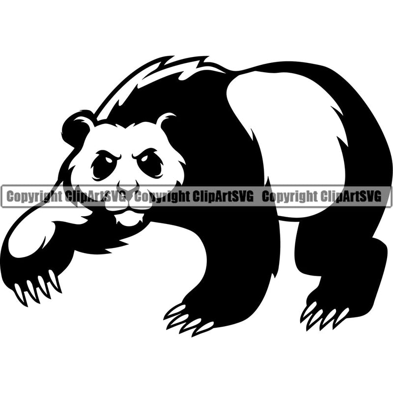 Panda Pandas Nature Wildlife Animal Bear Wild Sports School Team Mascot Game Fantasy Animal Emblem eSport Badge Logo Symbol Tattoo Color Logo Symbol Clipart SVG