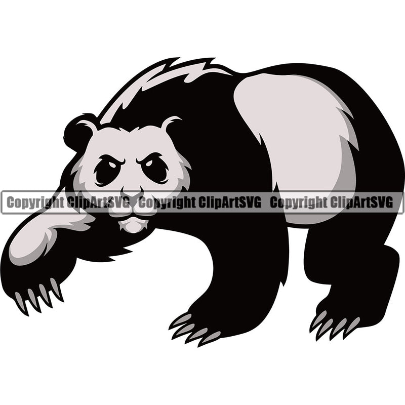 Panda Pandas Nature Wildlife Animal Bear Wild Sports School Team Mascot Game Fantasy eSport Animal Emblem Badge Logo Symbol Tattoo Color Logo Symbol Clipart SVG