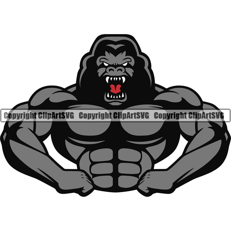 Bodybuilding Gorilla Gorillas Athlete Bodybuilder Fitness Trainer Gym Workout Training Muscle Sport Bodybuild Train Health Healthy Lifestyle Weight Lifting Flex Dumbbell Posing Weight Pose Fit Body Strong Color Art Design Logo Clipart SVG
