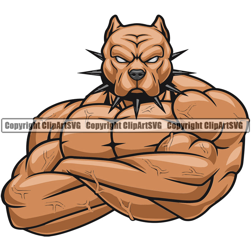Bodybuilding Pit Bull Dog Athlete Bodybuilder Fitness Trainer Gym Workout Training Muscle Sport Bodybuild Train Health Healthy Lifestyle Weightlifting Mascot Flex Flexing Posing Fit Body Strong Esport Color Art Design Logo Clipart SVG