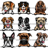 100 DOG BREEDS PEEKING Color Designs Volume 01 BUNDLE OF THE CENTURY RETAIL PRICE $300.00!
