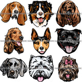 9 Dog Breed Head Face Top Selling Color Designs BUNDLE ClipArt SVG