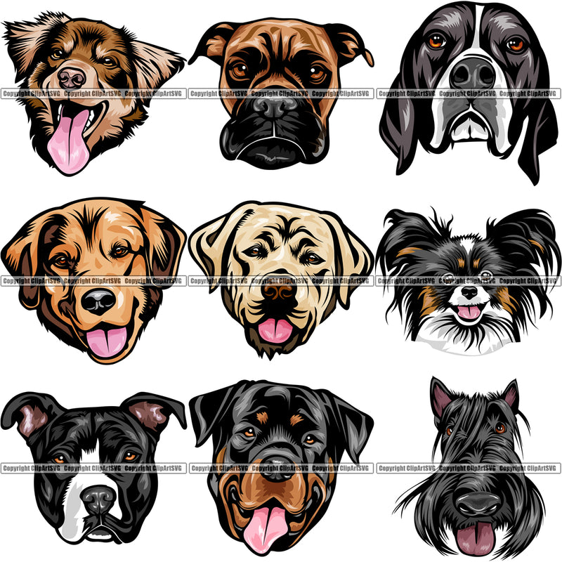 9 Dog Breed Head Face Top Selling Color Designs BUNDLE ClipArt SVG