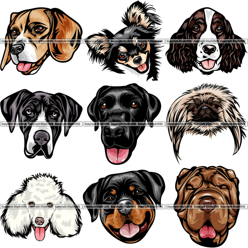 9 Dog Breed Head Face Top Selling Color Designs BUNDLE ClipArt SVG