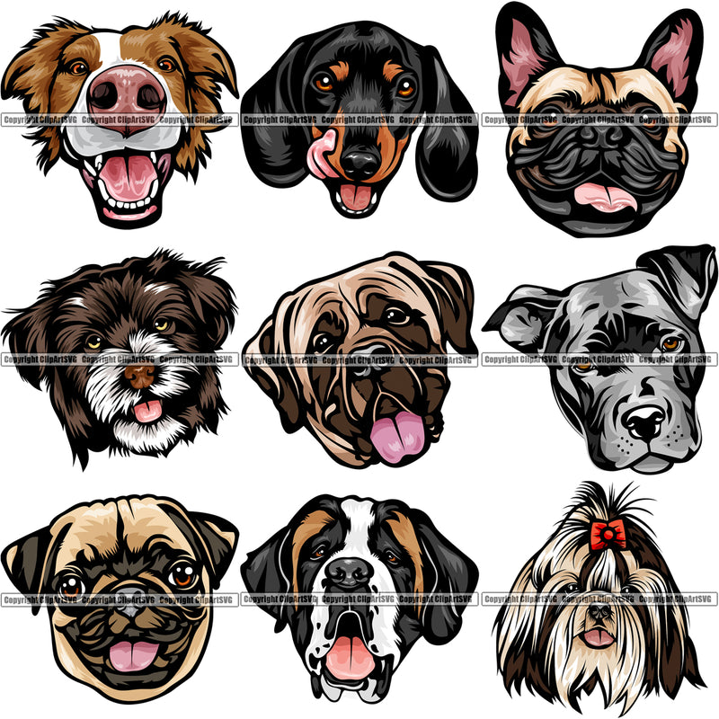 9 Dog Breed Head Face Top Selling Color Designs BUNDLE ClipArt SVG
