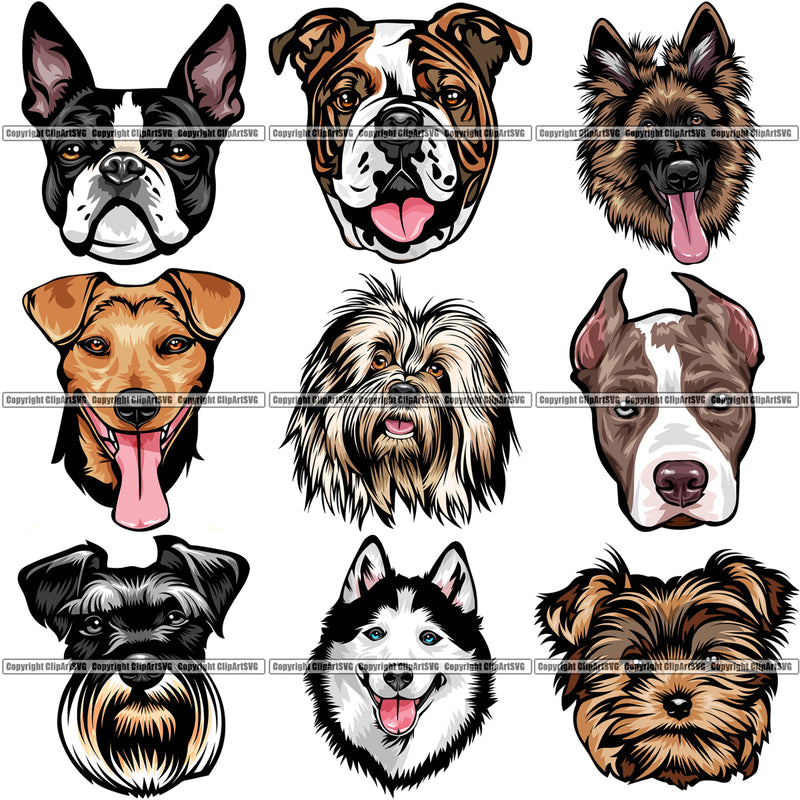 9 Dog Breed Head Face Top Selling Color Designs BUNDLE ClipArt SVG