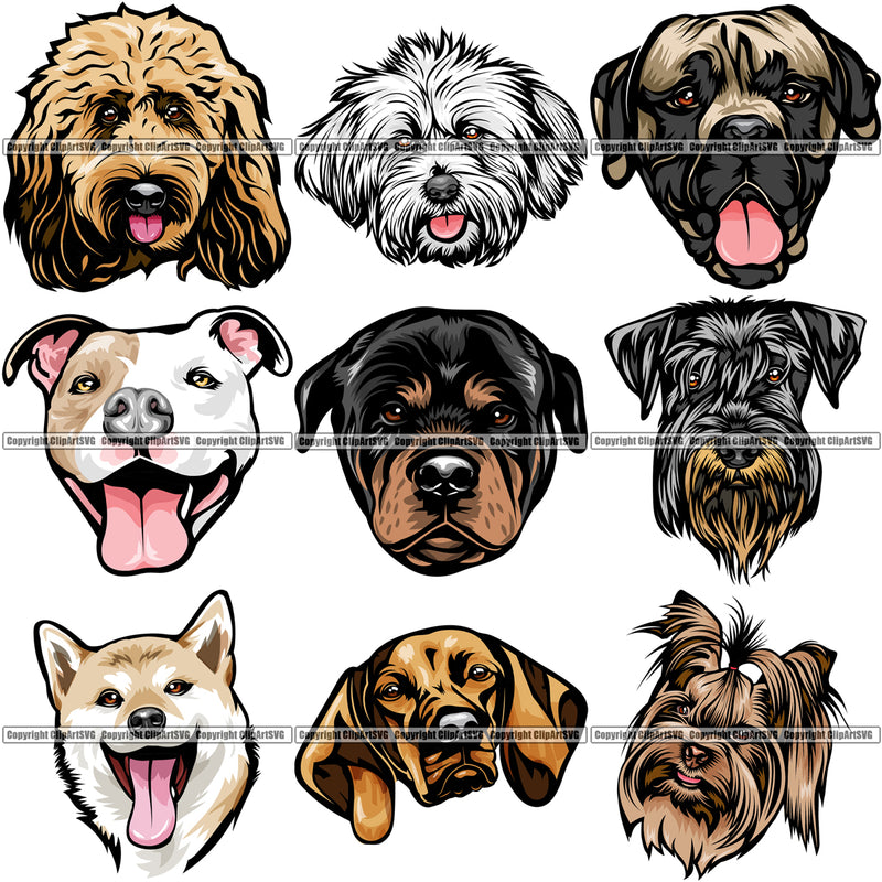 9 Dog Breed Head Face Top Selling Color Designs BUNDLE ClipArt SVG