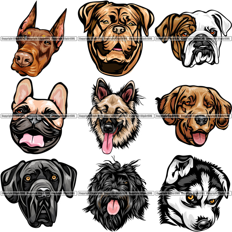 9 Dog Breed Head Face Top Selling Color Designs BUNDLE ClipArt SVG