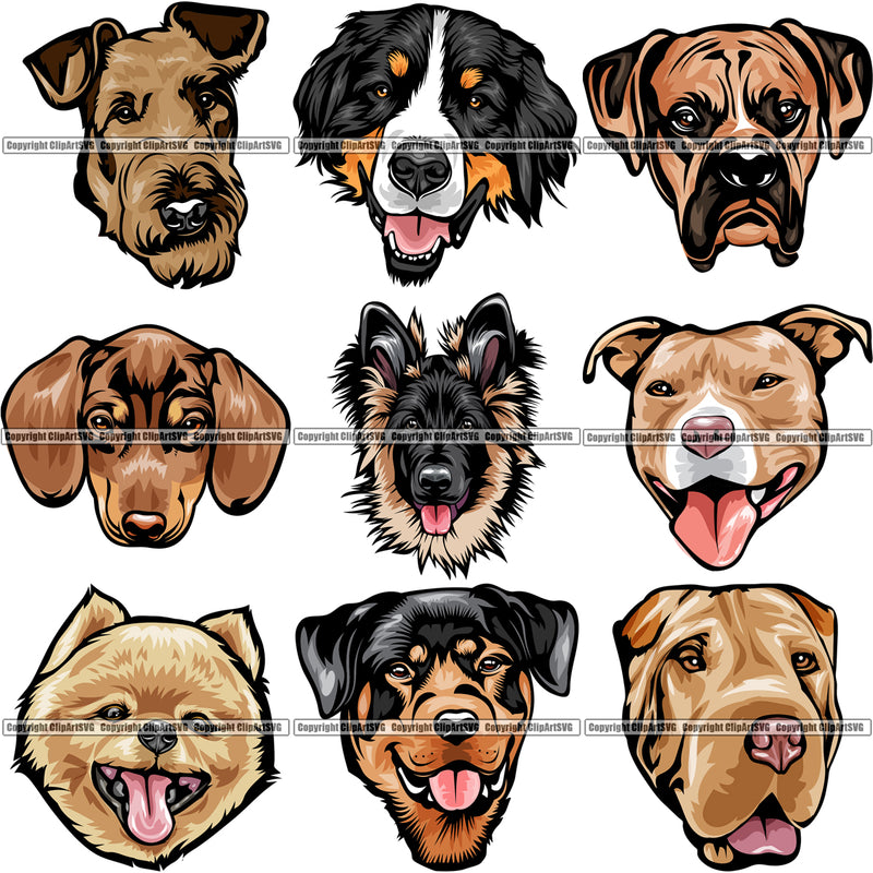 9 Dog Breed Head Face Top Selling Color Designs BUNDLE ClipArt SVG