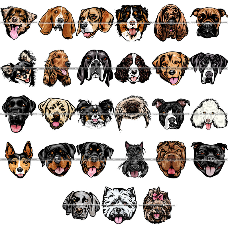 27 Dog Breed Head Face Top Selling Color Designs SUPER BUNDLE ClipArt SVG