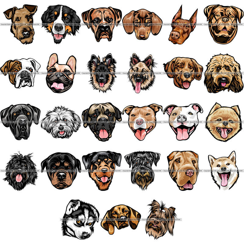 27 Dog Breed Head Face Top Selling Color Designs SUPER BUNDLE ClipArt SVG