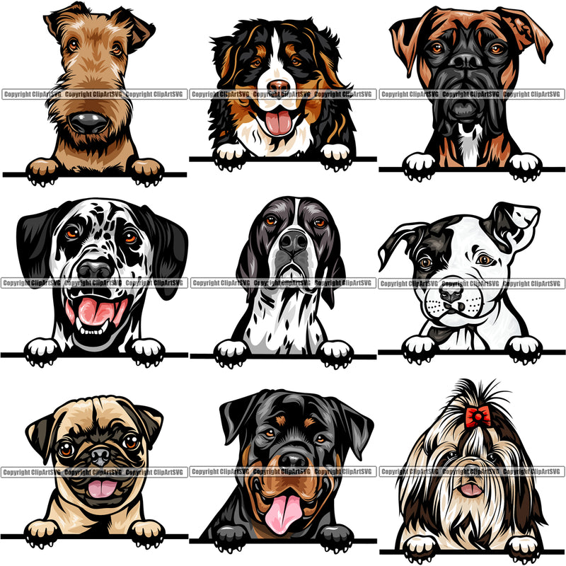 9 Dog Breed Peeking Peek-A-Boo Top Selling Color Designs BUNDLE ClipArt SVG