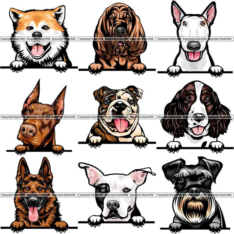 9 Dog Breed Peeking Peek-A-Boo Top Selling Color Designs BUNDLE ClipArt SVG