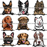 9 Dog Breed Peeking Peek-A-Boo Top Selling Color Designs BUNDLE ClipArt SVG