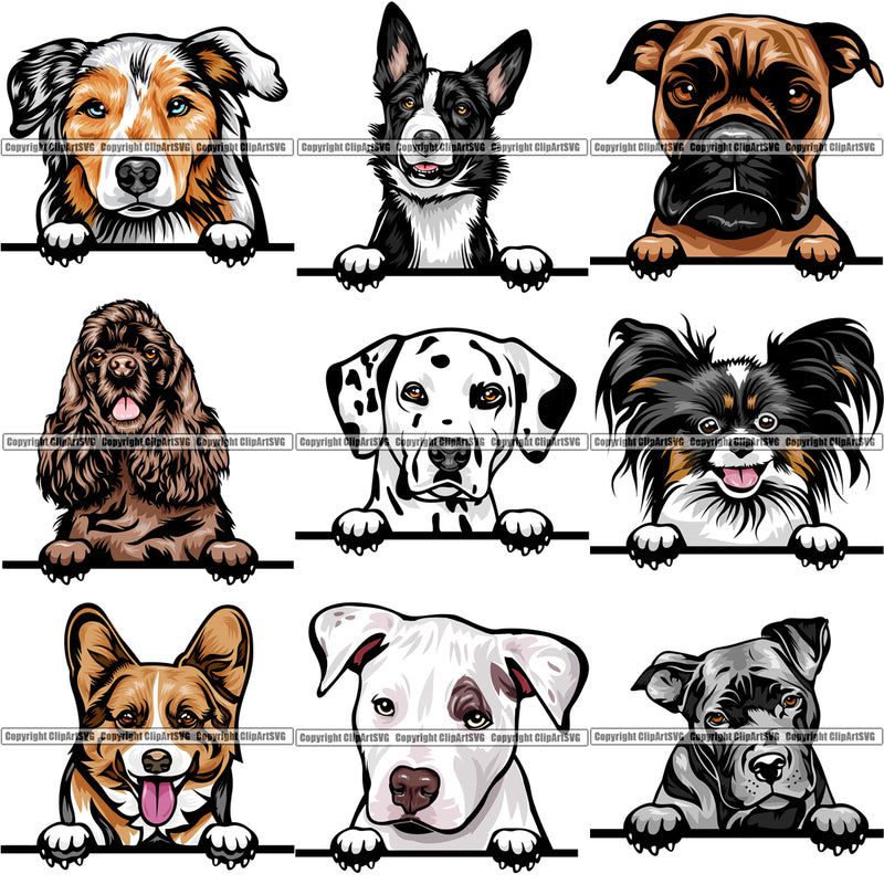 9 Dog Breed Peeking Peek-A-Boo Top Selling Color Designs BUNDLE ClipArt SVG