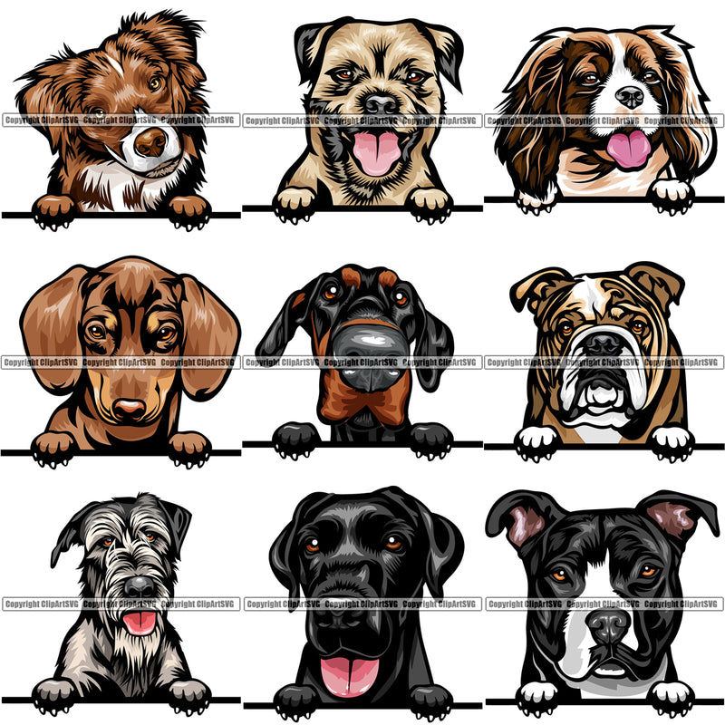 9 Dog Breed Peeking Peek-A-Boo Top Selling Color Designs BUNDLE ClipArt SVG