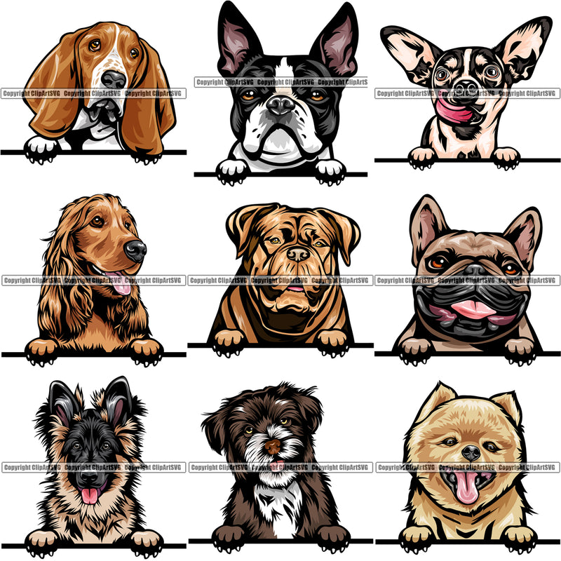 9 Dog Breed Peeking Peek-A-Boo Top Selling Color Designs BUNDLE ClipArt SVG