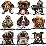 9 Dog Breed Peeking Peek-A-Boo Top Selling Color Designs BUNDLE ClipArt SVG