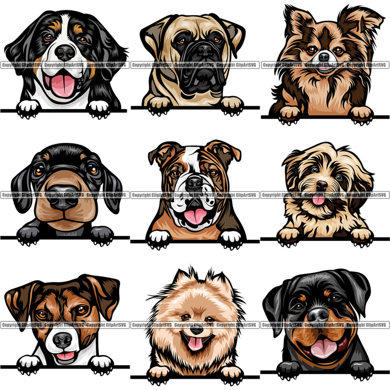 9 Dog Breed Peeking Peek-A-Boo Top Selling Color Designs BUNDLE ClipArt SVG