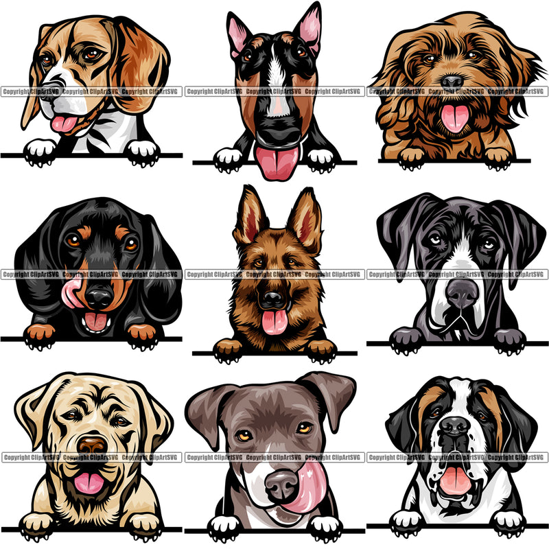 9 Dog Breed Peeking Peek-A-Boo Top Selling Color Designs BUNDLE ClipArt SVG