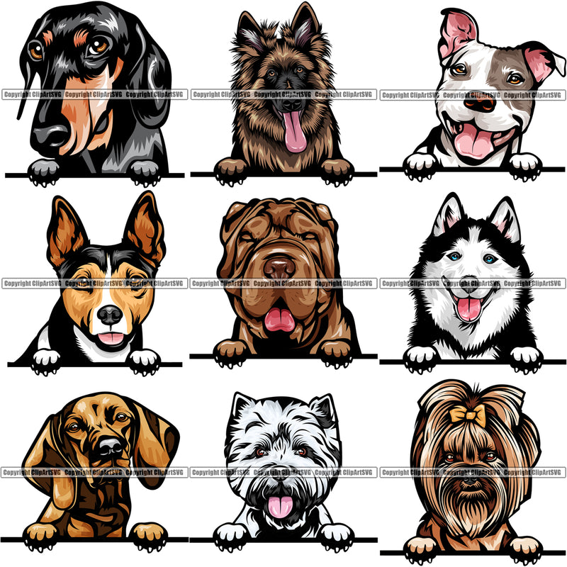 9 Dog Breed Peeking Peek-A-Boo Top Selling Color Designs BUNDLE ClipArt SVG