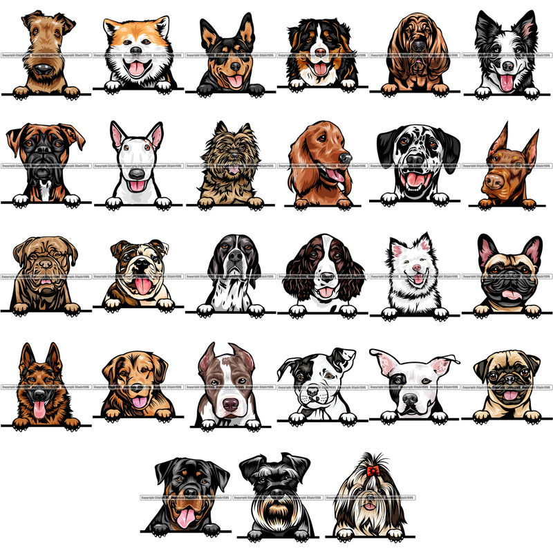 27 Dog Breed Peeking Peek-A-Boo Top Selling Color Designs SUPER BUNDLE ClipArt SVG