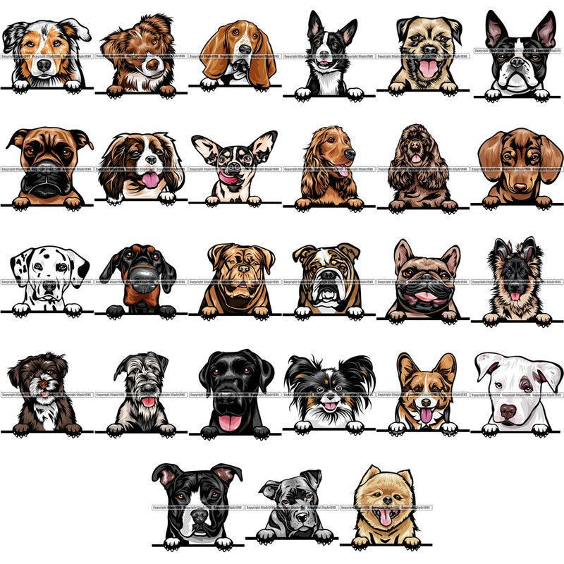27 Dog Breed Peeking Peek-A-Boo Top Selling Color Designs SUPER BUNDLE ClipArt SVG