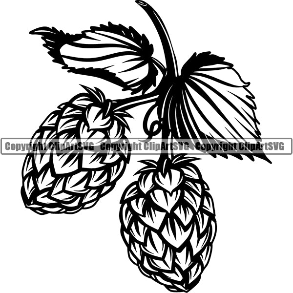 Beer Barley Hops Wheat Leaf Alcohol Liquor Drink Drinking Emblem Logo ClipArt SVG