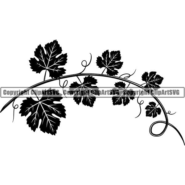 Wine Winery Grape Vine Alcohol Liquor Drink Drinking ClipArt SVG