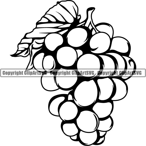 Wine Winery Grape Vine Alcohol Liquor Drink Drinking ClipArt SVG