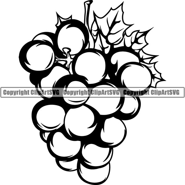 Wine Winery Grape Vine Alcohol Liquor Drink Drinking ClipArt SVG