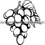 Wine Winery Grape Vine Alcohol Liquor Drink Drinking ClipArt SVG