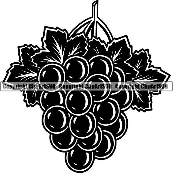 Wine Winery Grape Vine Alcohol Liquor Drink Drinking ClipArt SVG