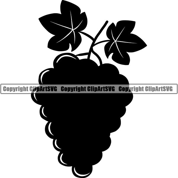 Wine Winery Grape Vine Alcohol Liquor Drink Drinking ClipArt SVG