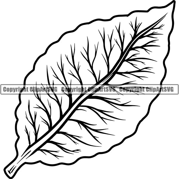 Tobacco Leaf Cigar Cigarette Smoke Smoking ClipArt SVG