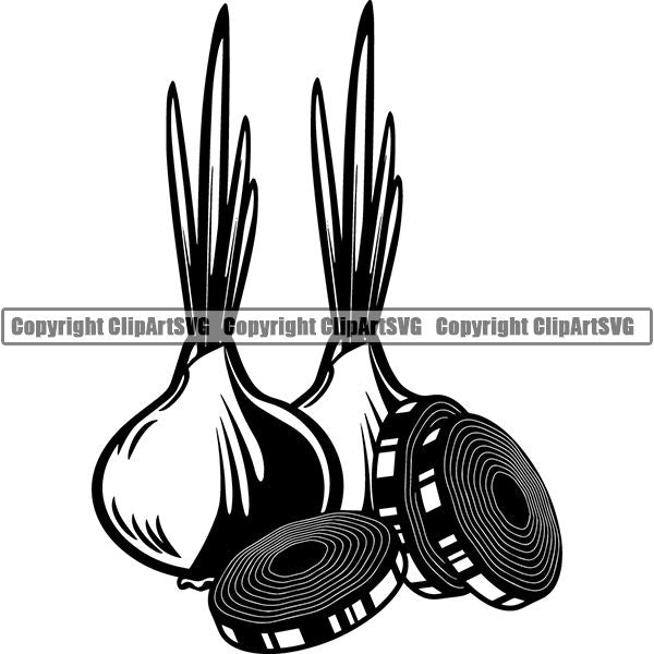 Food Onion ClipArt SVG
