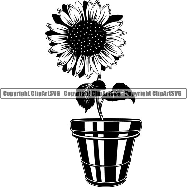 Hobby Gardening Sunflower Pot ClipArt SVG
