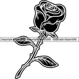 Nature Flower Rose jnn6sb.jpg