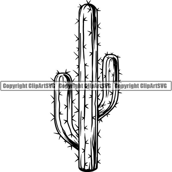 Nature Tree Cactus 6yyh7.jpg