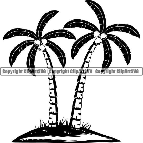 Nature Tree Palm 7uuj8.jpg