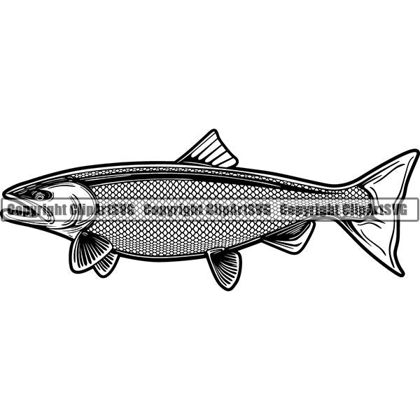 Sports Game Fishing Hunting Fish Hunt Fish King Salmon ClipArt SVG