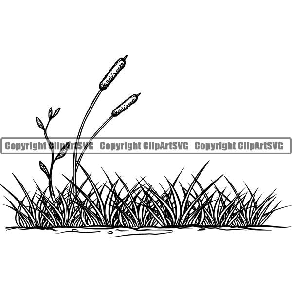 Nature Flower Grass jnn6sa.jpg
