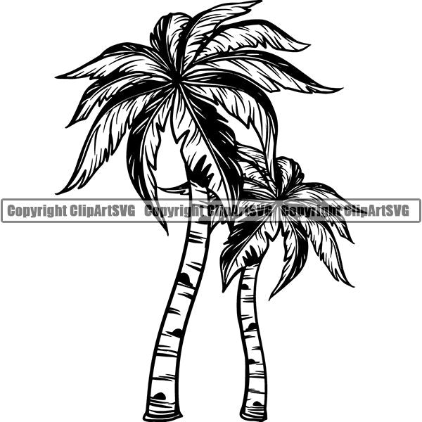 Nature Tree Palm 8iikk9b.jpg